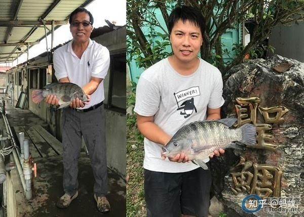 廣東福壽魚是什么魚
