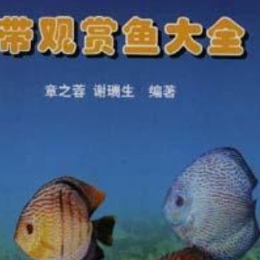 剛果綠平克熱帶魚 剛果綠平克熱帶魚 全國水族館企業名錄 第3張