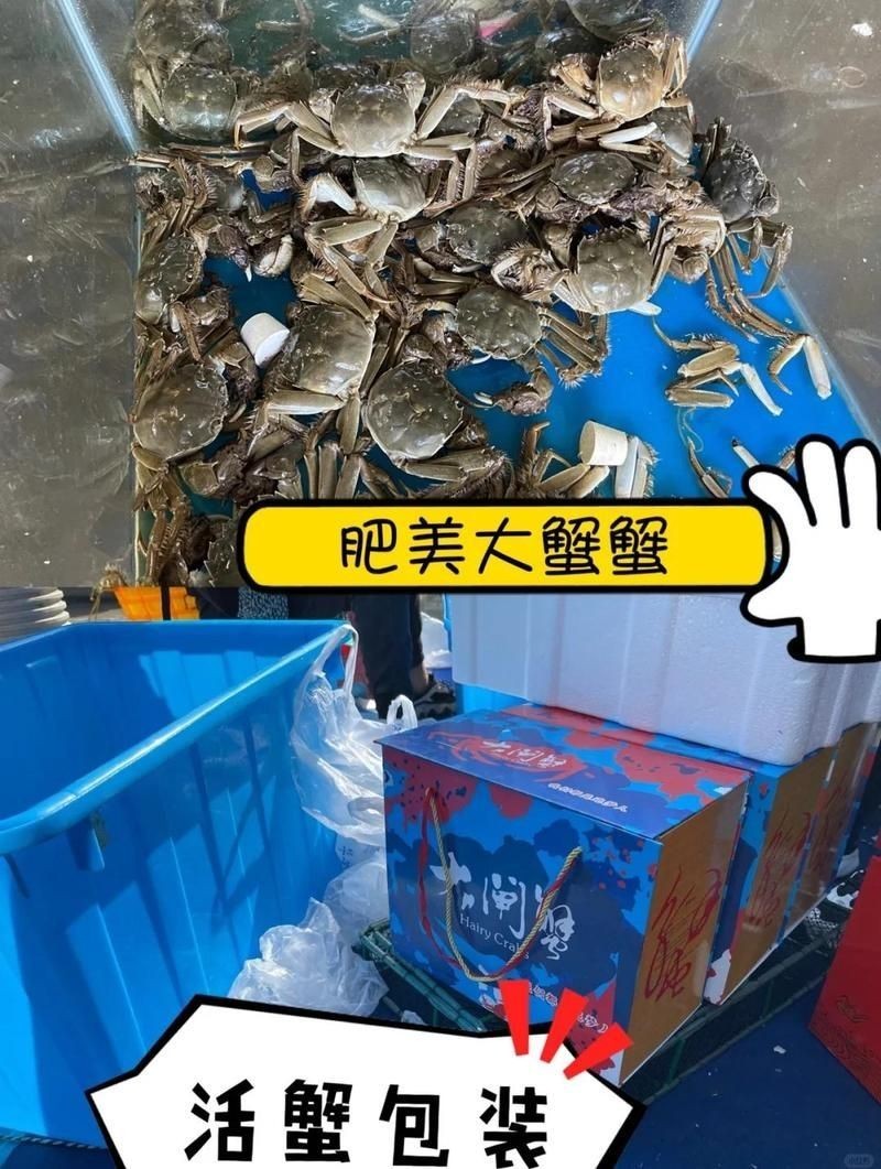 包頭水族批發市場