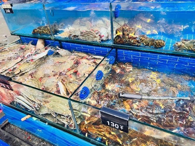 包頭水族批發市場