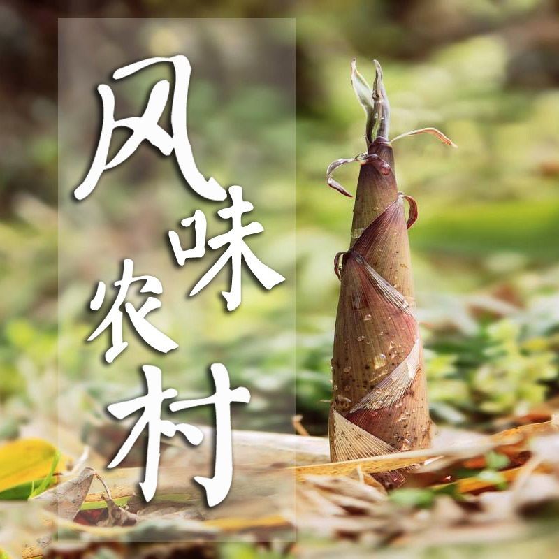 治療魚細菌感染的藥