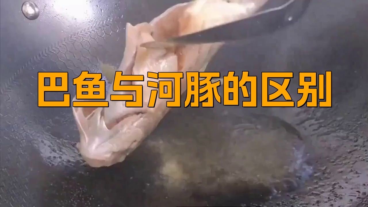 河豚和小巴魚的區(qū)別