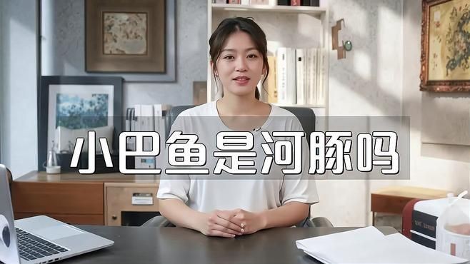 河豚和小巴魚的區(qū)別