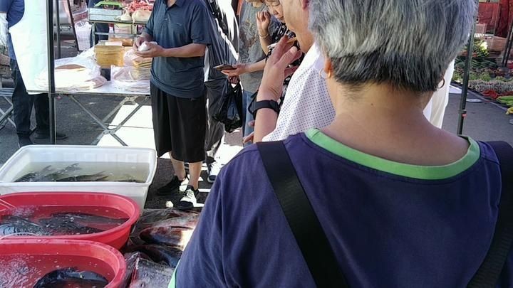 和尚魚市場價今日價 和尚魚市場價今日價 龍魚論壇 第8張