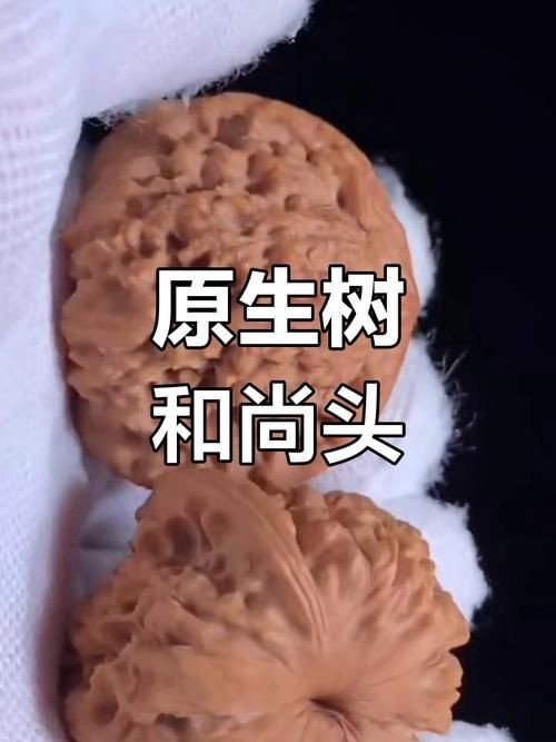 和尚頭圖片