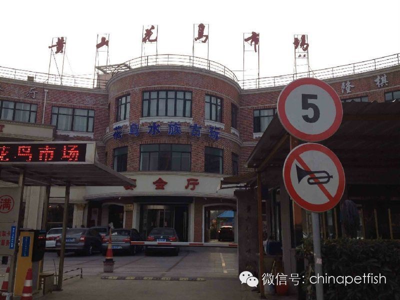 上海水族批發(fā)市場(chǎng) 上海水族批發(fā)市場(chǎng) 全國水族館企業(yè)名錄 第5張
