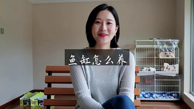 家庭魚缸養(yǎng)魚視頻 家庭魚缸養(yǎng)魚視頻 龍魚論壇 第2張