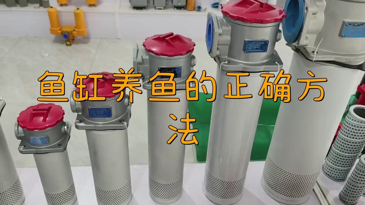 家庭魚缸養(yǎng)魚視頻 家庭魚缸養(yǎng)魚視頻 龍魚論壇 第1張