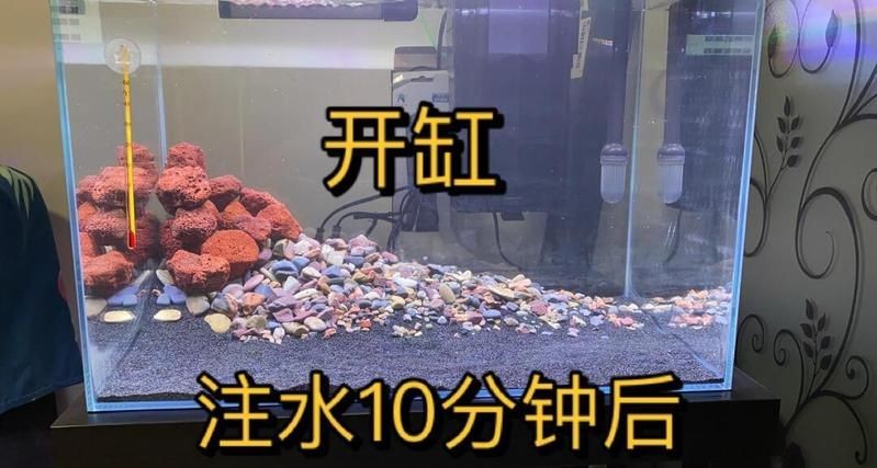 龍魚死亡后有哪些習俗，關于龍魚的習俗 龍魚死亡后有哪些習俗，關于龍魚的習俗 龍魚百科 第1張