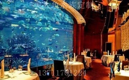 東莞魚缸定做 全國水族館企業(yè)名錄 第2張 東莞魚缸定做 東莞魚缸定做 全國水族館企業(yè)名錄 第2張