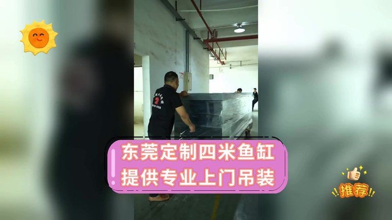 東莞魚缸定做 全國水族館企業(yè)名錄 第12張 東莞魚缸定做 東莞魚缸定做 全國水族館企業(yè)名錄 第12張