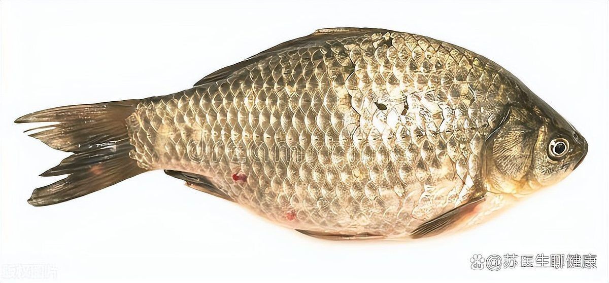 軍魚身上的肉有寄生蟲嗎