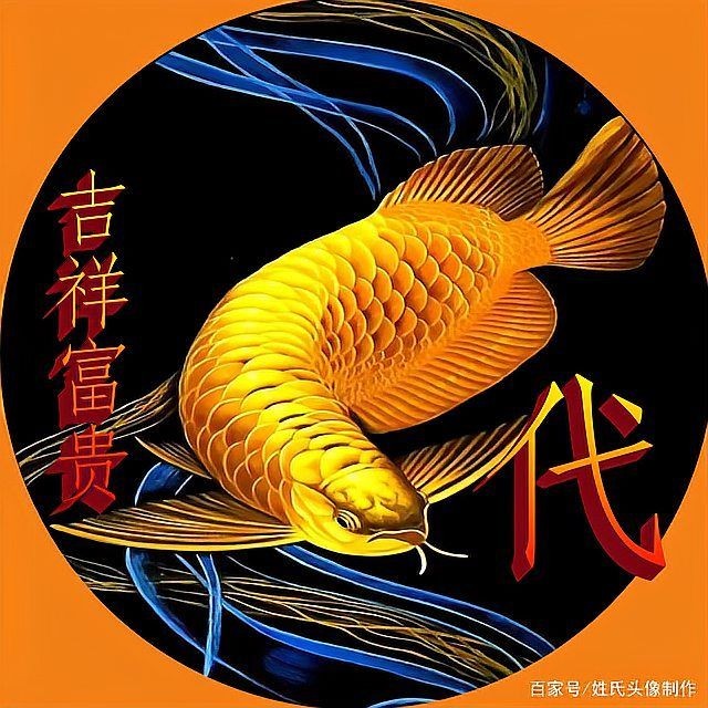 招財金龍圖片大全