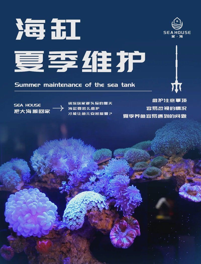 三亞魚缸維護