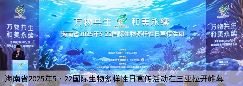 三亞魚缸維護