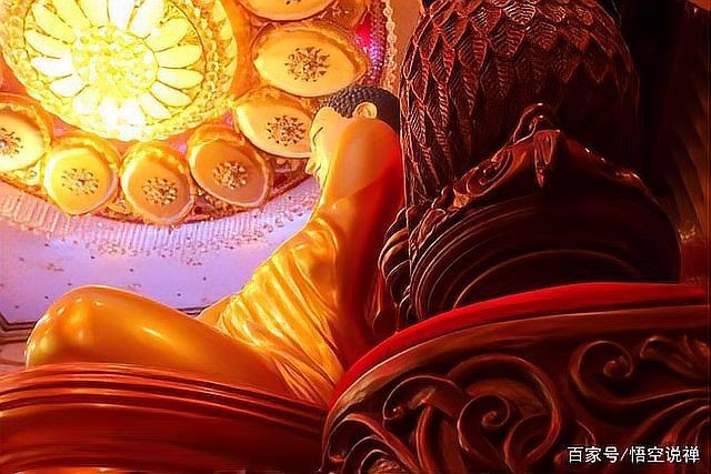和尚可以吃雞蛋嗎 全國水族館企業名錄 第21張 和尚可以吃雞蛋嗎 和尚可以吃雞蛋嗎 全國水族館企業名錄 第21張