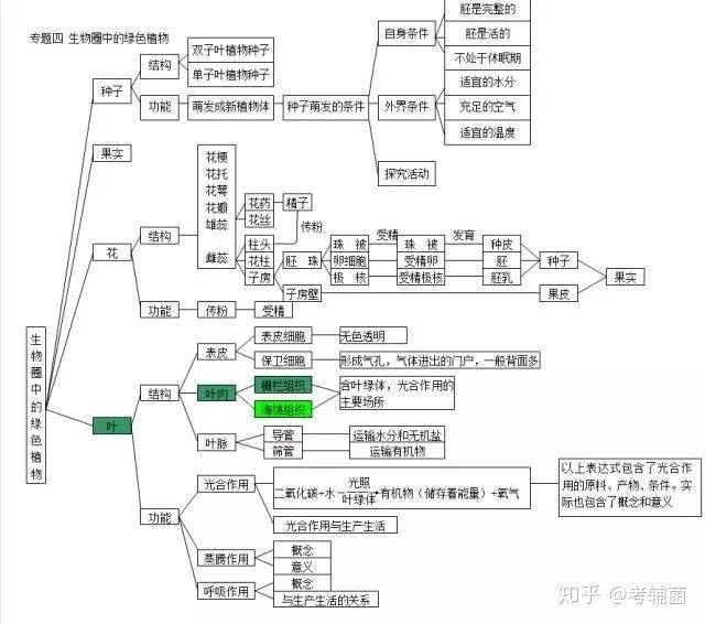 界門綱目口訣大全