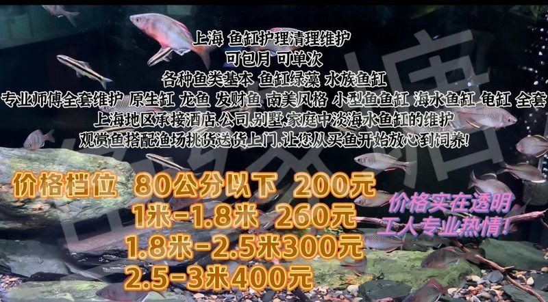 上海魚缸維護