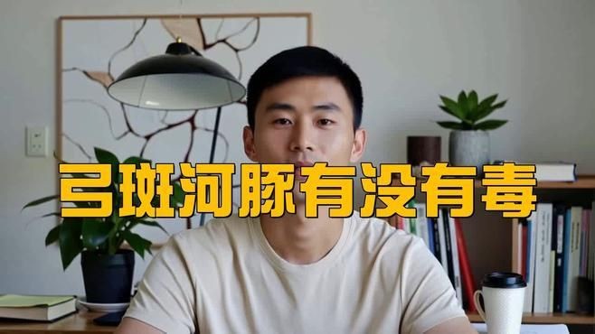 弓斑河豚和潛水艇哪個好 龍魚論壇 第1張 弓斑河豚和潛水艇哪個好 弓斑河豚和潛水艇哪個好 龍魚論壇 第1張