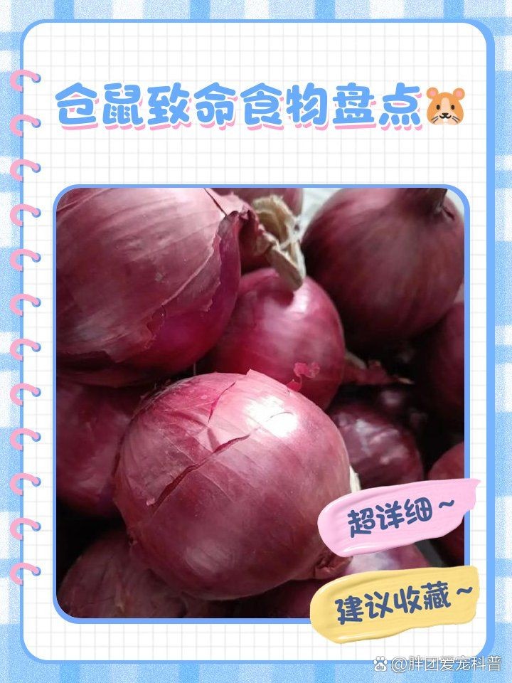 咖啡鼠最忌三個東西