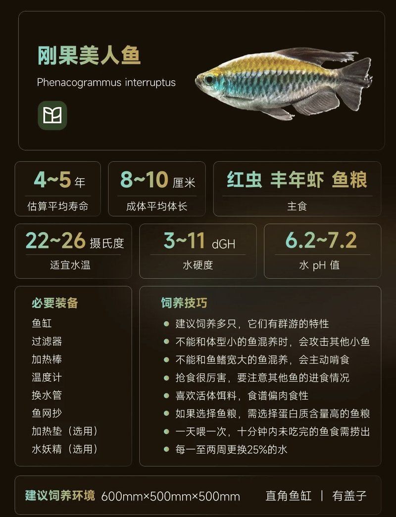 剛果美人魚最忌三種魚