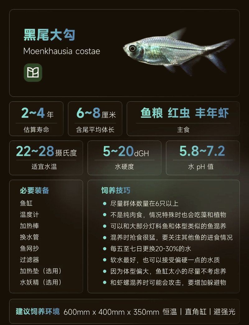 勾魚圖片