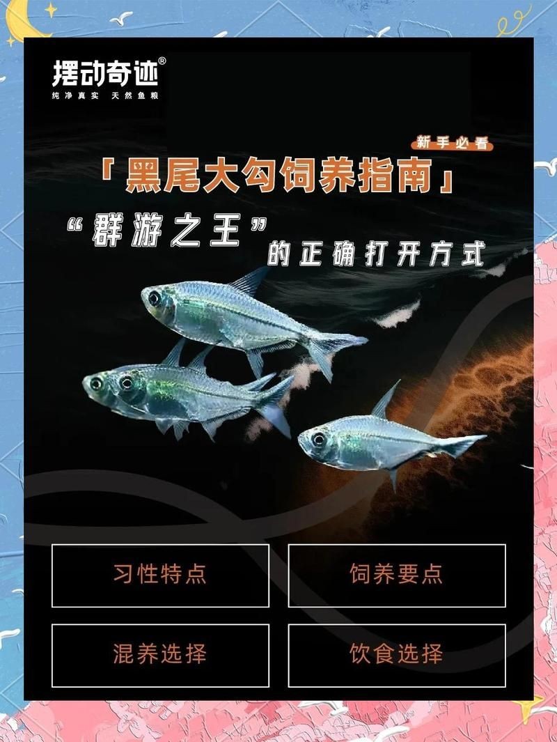 勾魚圖片