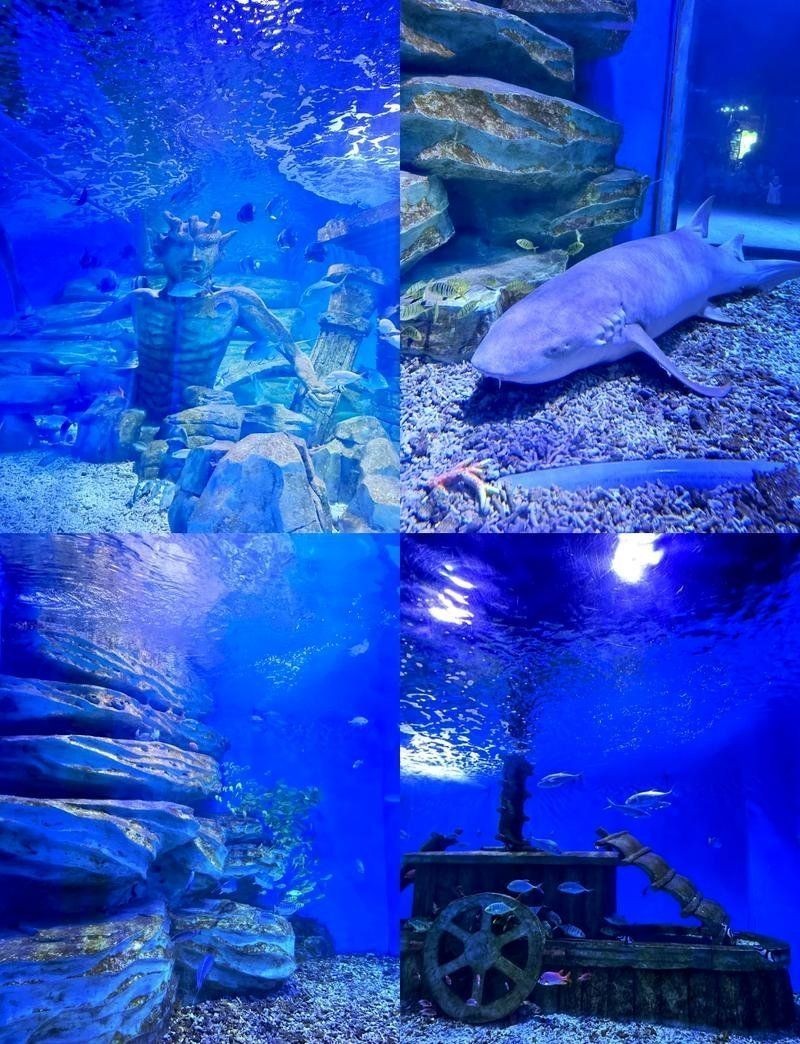 保定水族店 保定水族店 全國水族館企業名錄 第8張