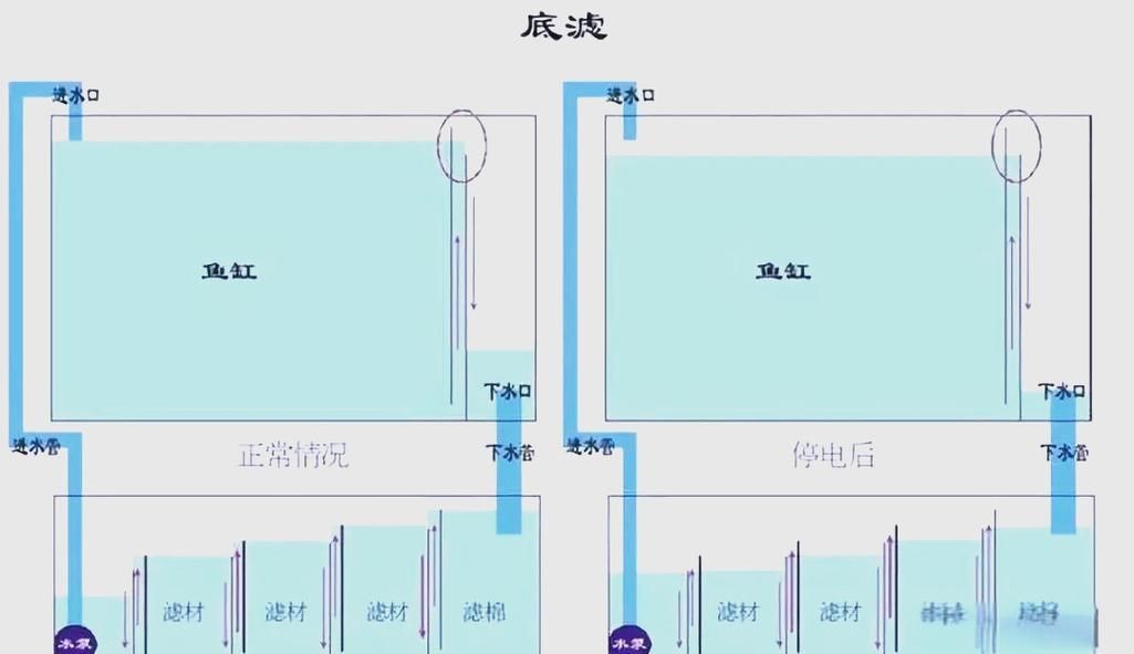 九鼎魚缸過濾系統(tǒng)圖解步驟詳解 九鼎魚缸過濾系統(tǒng)圖解步驟詳解 龍魚百科 第14張