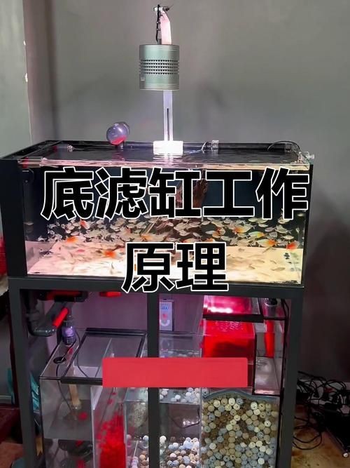九鼎魚缸過濾系統(tǒng)圖解步驟詳解 九鼎魚缸過濾系統(tǒng)圖解步驟詳解 龍魚百科 第17張