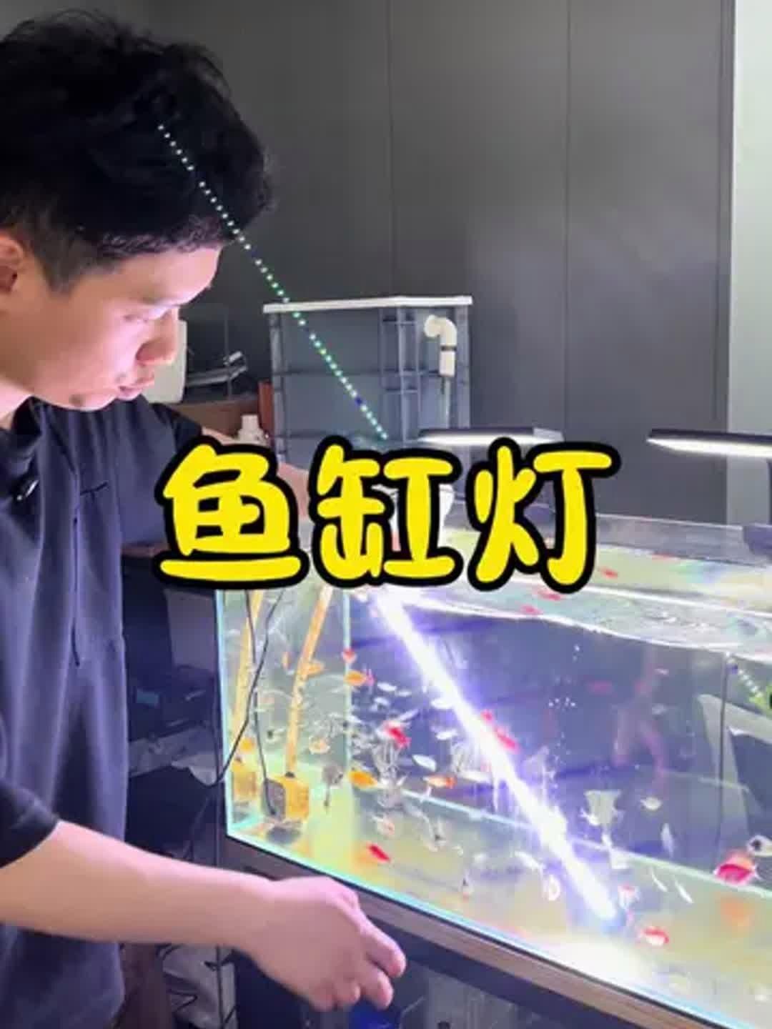 吉印專業水草燈好嗎