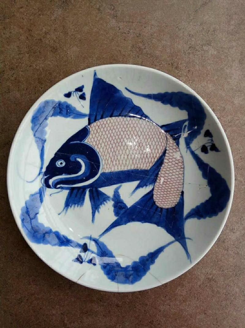 各種魚盤圖片 各種魚盤圖片 全國水族館企業(yè)名錄 第3張