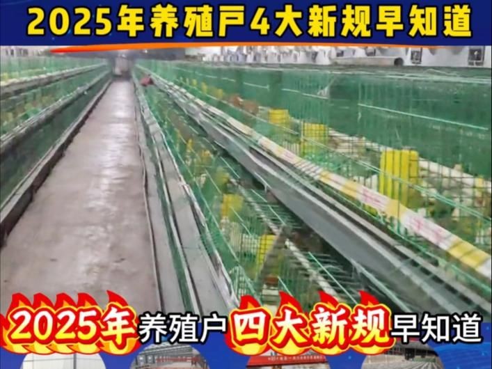 個人合法養龜要辦什么證 個人合法養龜要辦什么證 全國水族館企業名錄 第5張