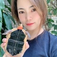 個人合法養龜要辦什么證 個人合法養龜要辦什么證 全國水族館企業名錄 第4張