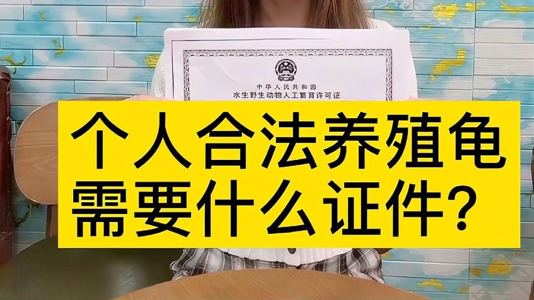 個人合法養龜要辦什么證 個人合法養龜要辦什么證 全國水族館企業名錄 第3張