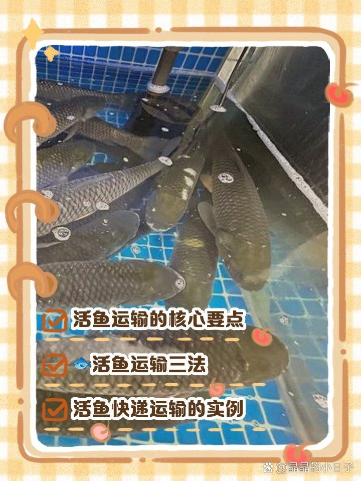 活體魚一般怎么快遞