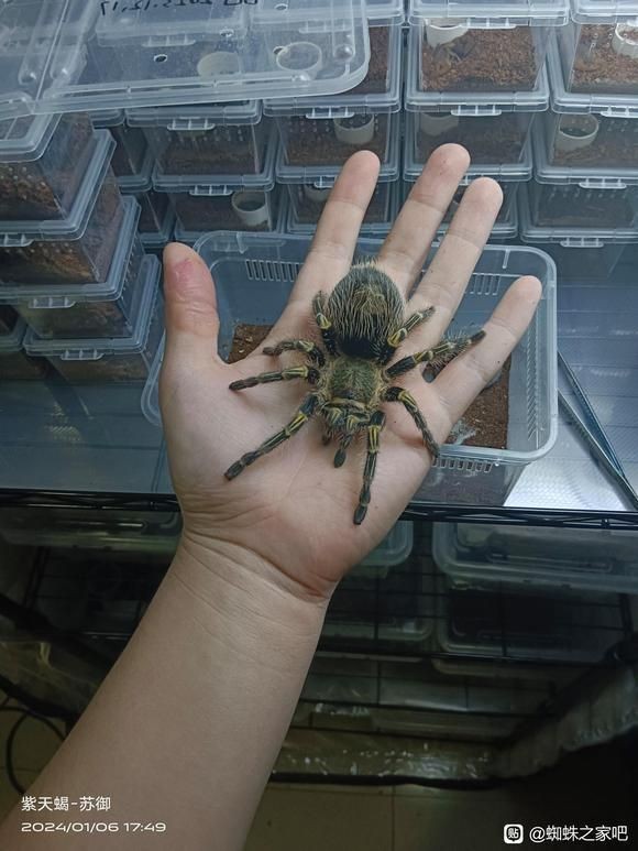 活體魚一般怎么快遞
