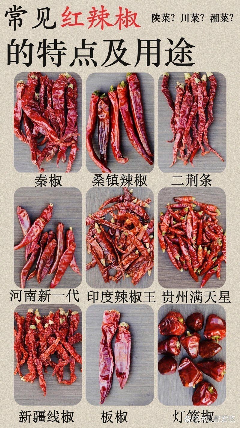 各種干辣椒品種和特點 龍魚論壇 第7張 各種干辣椒品種和特點 各種干辣椒品種和特點 龍魚論壇 第7張
