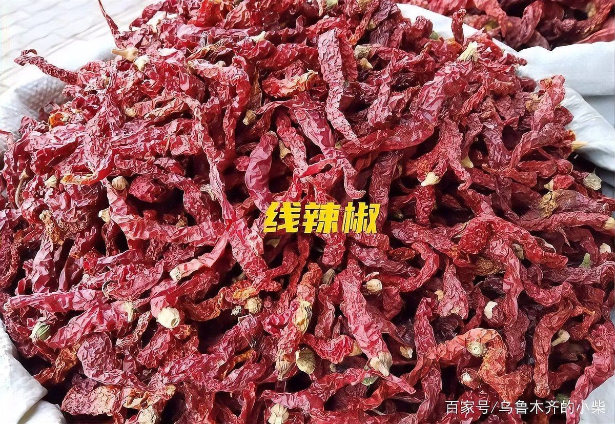 各種干辣椒品種和特點 龍魚論壇 第14張 各種干辣椒品種和特點 各種干辣椒品種和特點 龍魚論壇 第14張