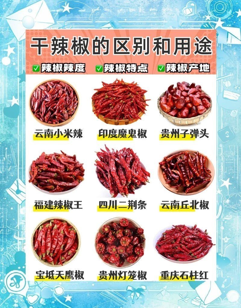 各種干辣椒品種和特點 龍魚論壇 第3張 各種干辣椒品種和特點 各種干辣椒品種和特點 龍魚論壇 第3張