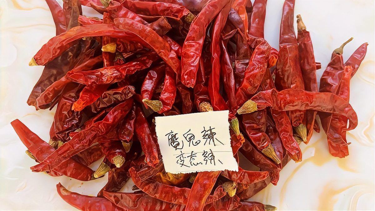 各種干辣椒品種和特點 龍魚論壇 第11張 各種干辣椒品種和特點 各種干辣椒品種和特點 龍魚論壇 第11張