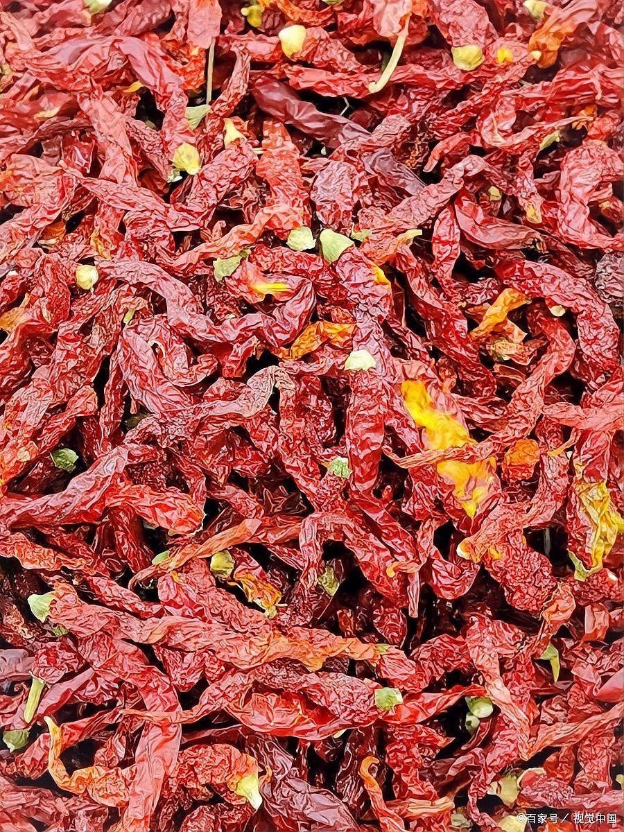 各種干辣椒品種和特點 龍魚論壇 第1張 各種干辣椒品種和特點 各種干辣椒品種和特點 龍魚論壇 第1張