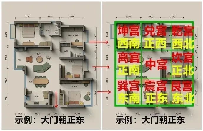 2025年龍龜擺放位置