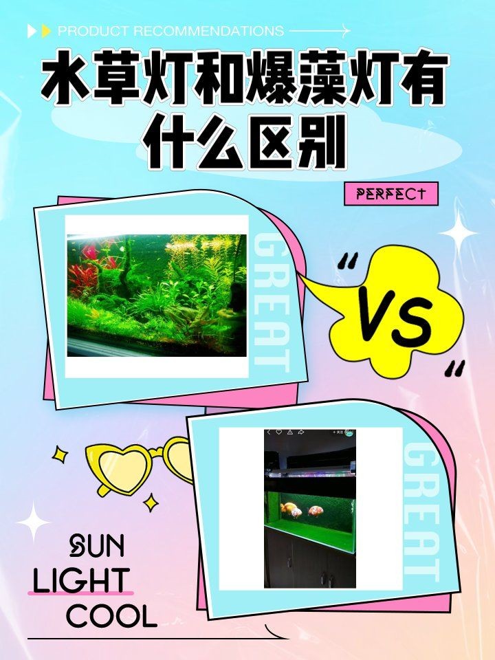 吉印水草燈爆藻燈