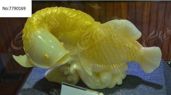 招財龍魚圖片尺寸