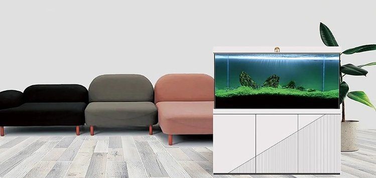 南通魚缸批發(fā)市場