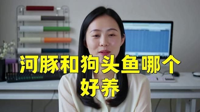 河豚和斑馬狗頭是不是一個東西