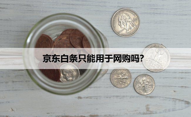 京東白條支持哪些平臺