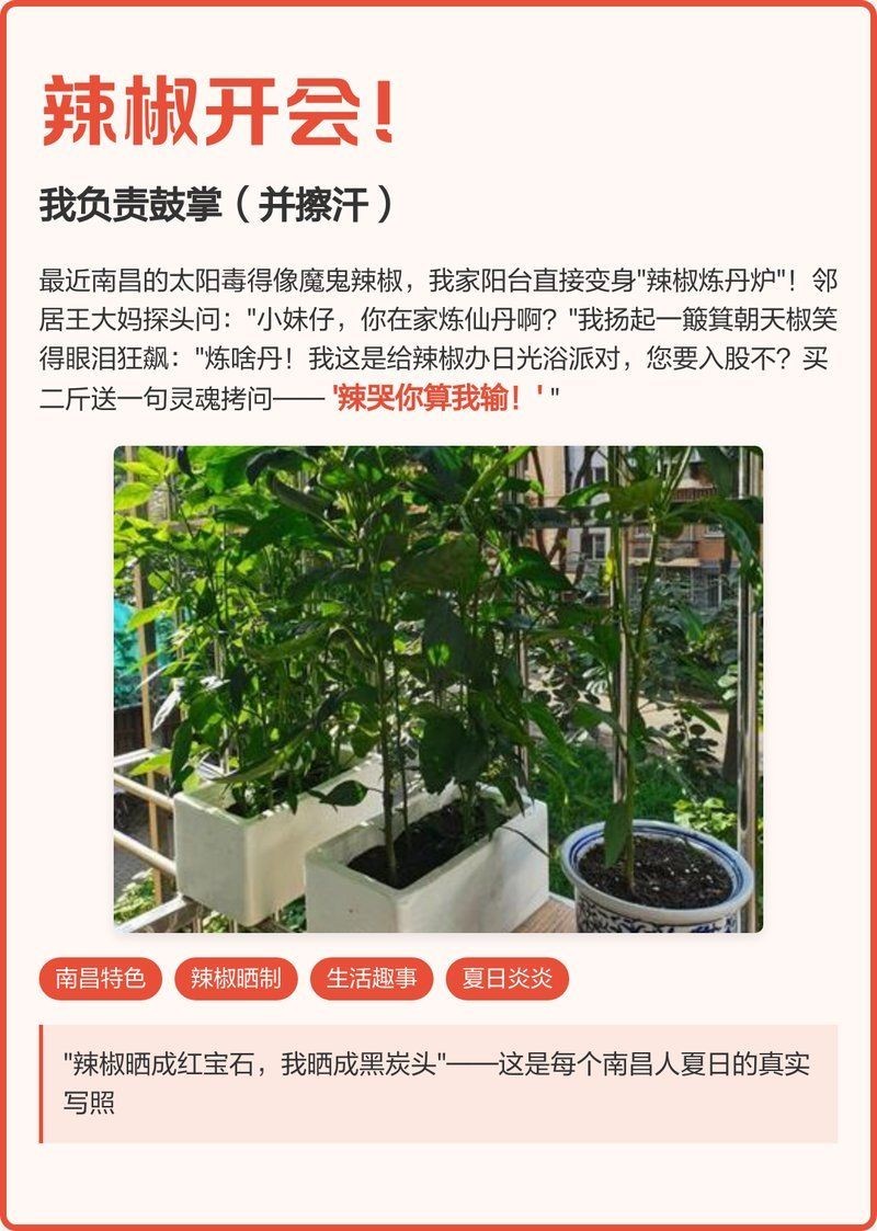 搞笑辣椒順口溜