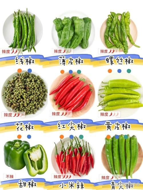 各種辣椒圖片